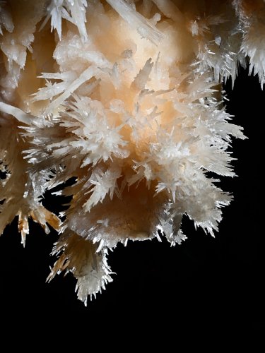 Grotte de Limousis (Aude) - Le lustre (détail d'aguilles d'aragonite)(SP-21-0833)